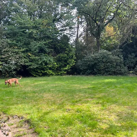 Moderne Nähe Hamburg, Mit Gemeinschaftsbad&küche Grosshansdorf